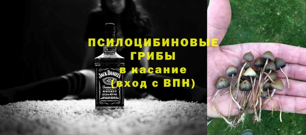 мескалин Пролетарск