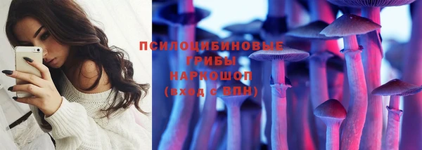 ешки Абаза